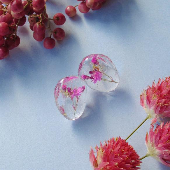 植物標本ピアス(Sサイズ)〜ちょっと変わった赤いかすみ草〜 2枚目の画像