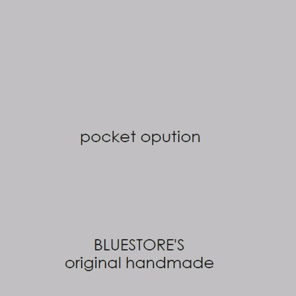 ポケット　オプション　（ＴＯＴＥ用） 1枚目の画像