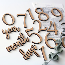 ◉送料込◉木製 レターバナーセット No.1シリーズ　月齢フォト　マンスリーフォト　マンスリーカード 1枚目の画像