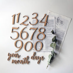 ◉送料込◉木製 レターバナーセット No.1シリーズ　月齢フォト　マンスリーフォト　マンスリーカード 2枚目の画像