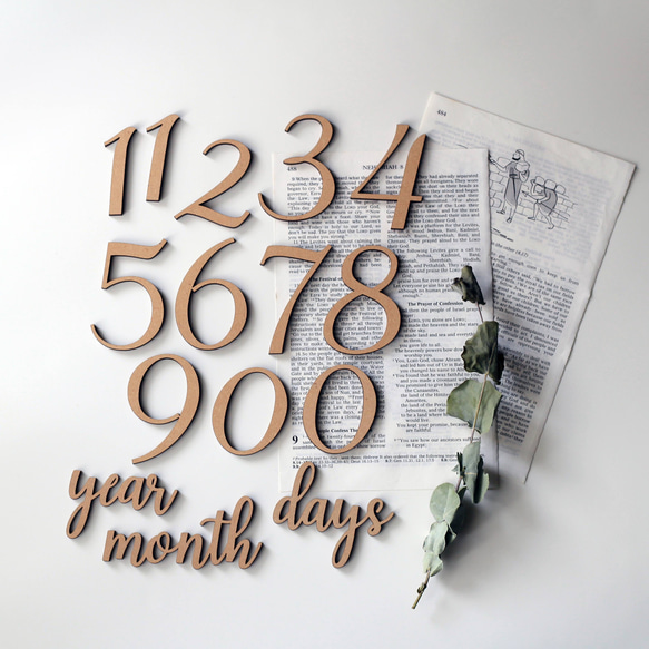 ◉送料込◉木製 レターバナーセット No.1シリーズ　月齢フォト　マンスリーフォト　マンスリーカード 2枚目の画像