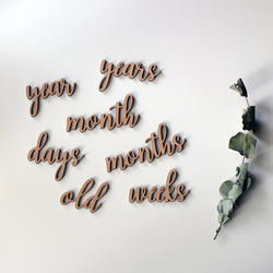 ◉送料込◉木製 レターバナーセット No.1シリーズ　月齢フォト　マンスリーフォト　マンスリーカード 5枚目の画像