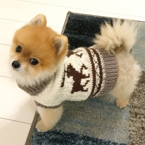 ポメラニアン・小型犬用 カウチン風セーター Sサイズ ペット服
