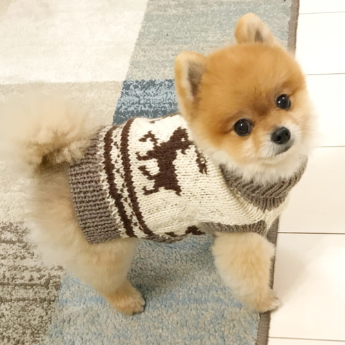 【miiiさん専用 】 犬服 犬用 手編み 「カウチン」 2af9e8e1bdfc2a03a66235c2713b93
