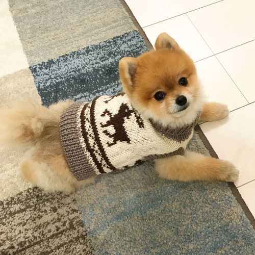 【miiiさん専用 】 犬服 犬用 手編み 「カウチン」 ポメラニアン・小型犬用 カウチン風セーター Sサイズ ペット服