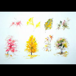 水彩スケッチ画「上達の近道」レッスンDVDビデオ ...秋バージョン 5枚目の画像