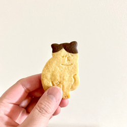エキゾチックショートヘア【全身】3dプリンタークッキー型 9枚目の画像