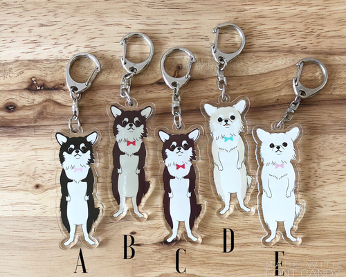 y247様❤チワワ キャッチボール オブジェ♡ 2025,10.23 きらら♡ ・ ・ 隣のおばちゃんに 抱っこしてもらっ