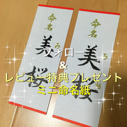 書道家が書く命名【A5・デザイン】アクリルフレーム付 4枚目の画像