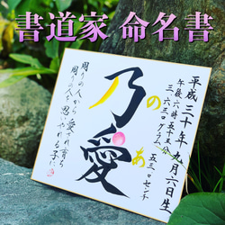 naaaka様 専用ページ 色紙縦向き、「命名」ゴールド追加 1枚目の画像