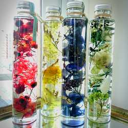 ハーバリウム（植物標本)～200ml 1本～とドライフラワーのセット ハー