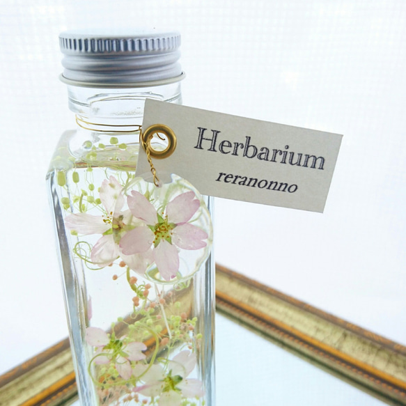 【春色：桜】ハーバリウム（植物標本）～150ml　1本～ 2枚目の画像