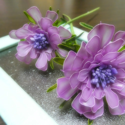 季節の花・紫のアネモネ・2本セット 2枚目の画像
