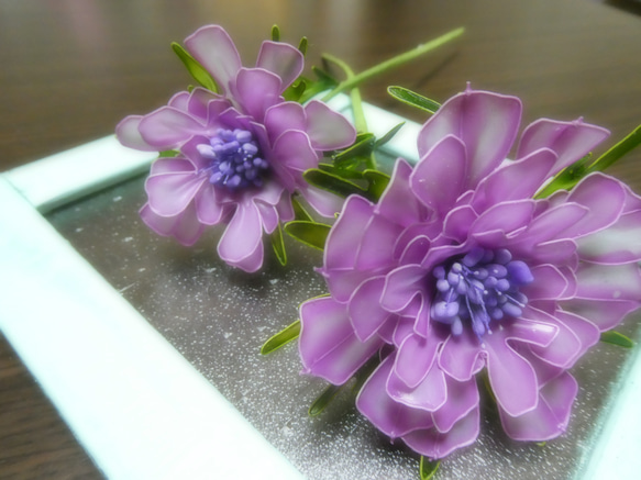 季節の花・紫のアネモネ・2本セット 2枚目の画像