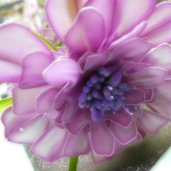 季節の花・紫のアネモネ・2本セット 3枚目の画像