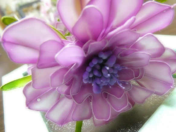 季節の花・紫のアネモネ・2本セット 3枚目の画像