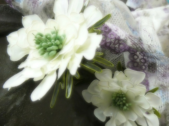 季節の花・アネモネ２本セット・アイボリー 2枚目の画像