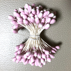 白梅ペップ・梅の花芯・２束セット 2枚目の画像