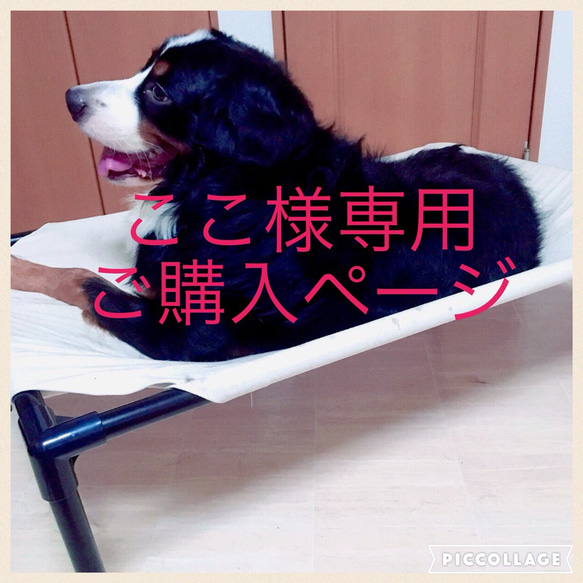 【ここ様専用 ご購入ページ】Dog cot 小型犬サイズ 1枚目の画像