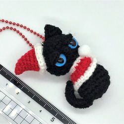 】小さいぺったんこクリスマスやさぐれ黒猫☆あみぐるみ＊受注製作品 5枚目の画像