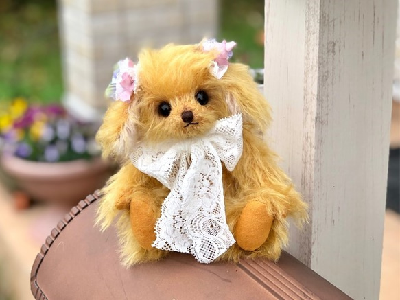 お見舞い テディベア※トイプードル（18-1522） ぬいぐるみ むぎゅ♡べあ ぬいぐるみ