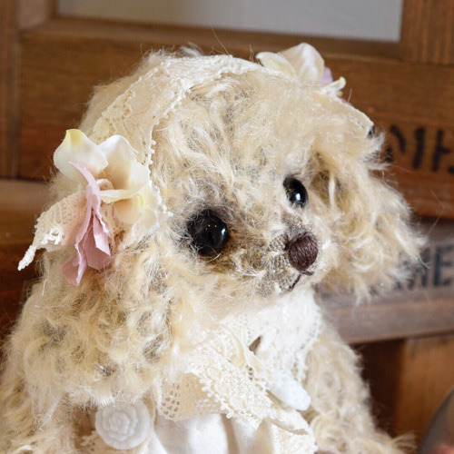 テディベア/トイプードル（19-1534） ぬいぐるみ むぎゅ♡べあ