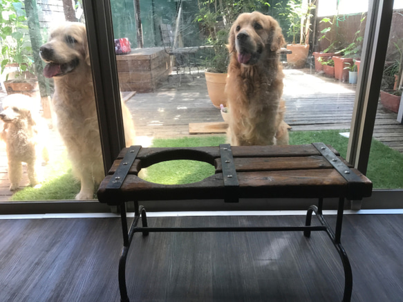 アイアン&ウッド ドッグテーブル（大）　犬用お食事テーブル 5枚目の画像