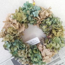 送料無料）ドライフラワークレッセントリース パンパスグラスと