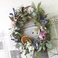 送料無料）ドライフラワーリース ユーカリと、 ドライフラワー m-w