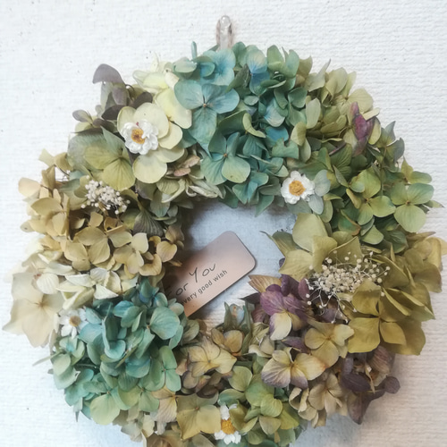 ドライフラワーリース　紫陽花と白い花 ドライフラワーリース紫陽花と白い花