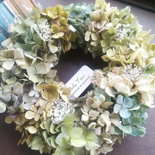 ドライフラワーリース　紫陽花と白い花 ドライフラワーリース紫陽花と白い花