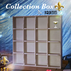 Collection BOX123/クリアホワイト 5枚目の画像