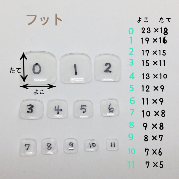 〈親指用〉朝顔と金魚 /フット 3枚目の画像