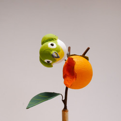 振り子で動くメジロさんと柿の木 2枚目の画像