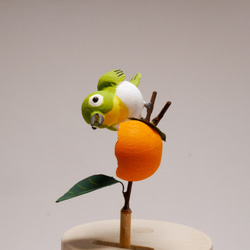 振り子で動くメジロさんと柿の木 6枚目の画像