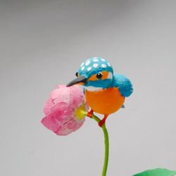 振り子で動くカワセミさんと蓮の花 2枚目の画像