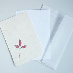 葉っぱを贈る【植物入り和紙カード】ドウダンツツジno.2｜封筒・メッセージカード付 3枚目の画像