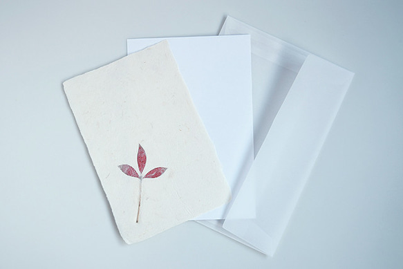 葉っぱを贈る【植物入り和紙カード】ドウダンツツジno.2｜封筒・メッセージカード付 3枚目の画像
