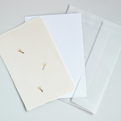 種を贈る【植物入り和紙カード】アザミの種｜封筒・メッセージカード付 3枚目の画像