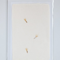 種を贈る【植物入り和紙カード】アザミの種｜封筒・メッセージカード付 5枚目の画像