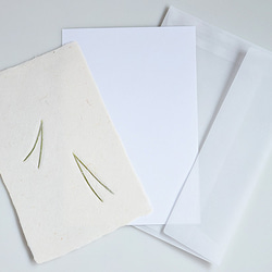 葉っぱを贈る【植物入り和紙カード】松葉｜封筒・メッセージカード付 4枚目の画像