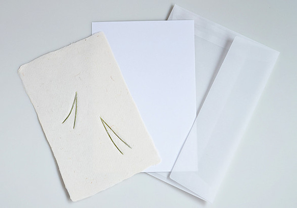 葉っぱを贈る【植物入り和紙カード】松葉｜封筒・メッセージカード付 4枚目の画像
