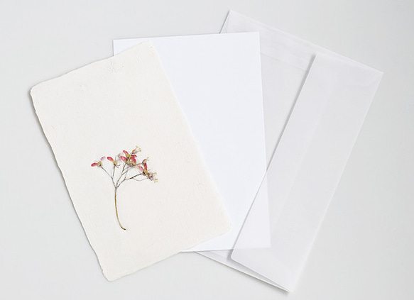 葉っぱを贈る【植物入り和紙カード】カエデ（種）｜封筒・メッセージカード付 4枚目の画像