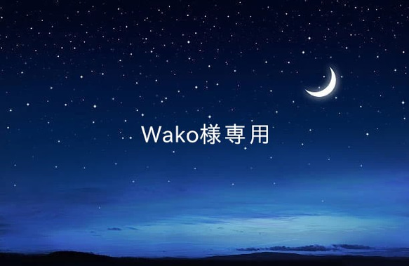 Wako様専用ページ 1枚目の画像