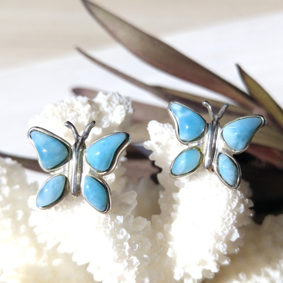 ❁レアな蝶❁♡Larimar Butterfly silver925♡超ハイクオリティの蝶のラリマーピアス 3枚目の画像