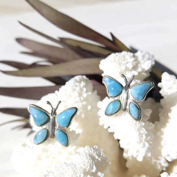 ❁レアな蝶❁♡Larimar Butterfly silver925♡超ハイクオリティの蝶のラリマーピアス 6枚目の画像