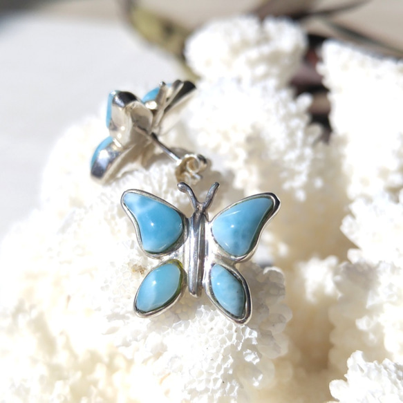 ❁レアな蝶❁♡Larimar Butterfly silver925♡超ハイクオリティの蝶のラリマーピアス 10枚目の画像