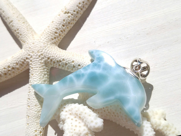 Sold ♡ハイクオリティ♡透ける海色のイルカ-透き通るみずみずしい透明 