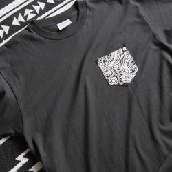 1_251ee2444624a48913ce787c88d4