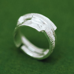 La Tail Ring-當代珠寶 第1張的照片